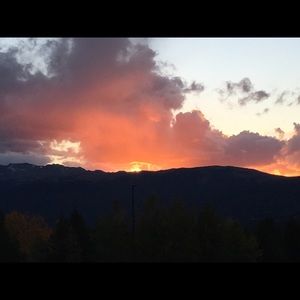 Meet your Posher, Nik